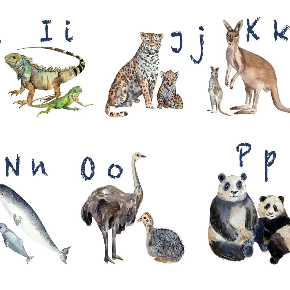 watercolour animal alphabet