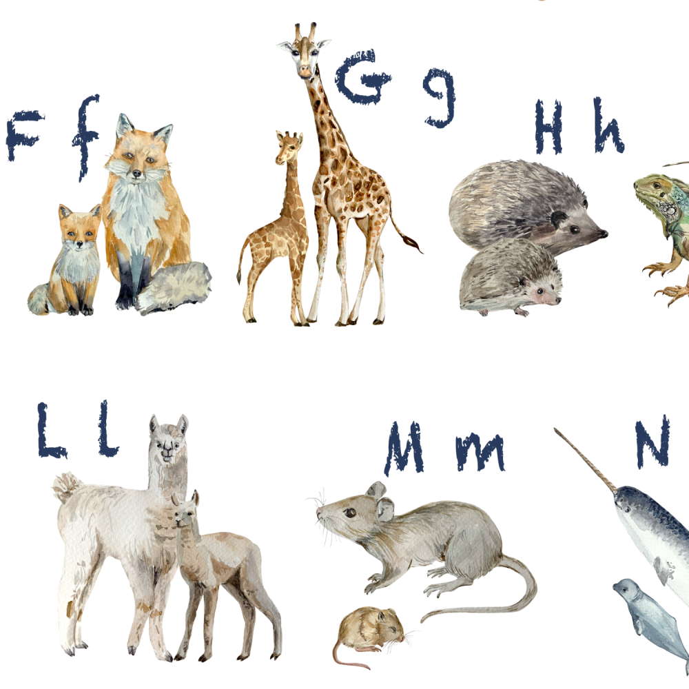 baby animal letters