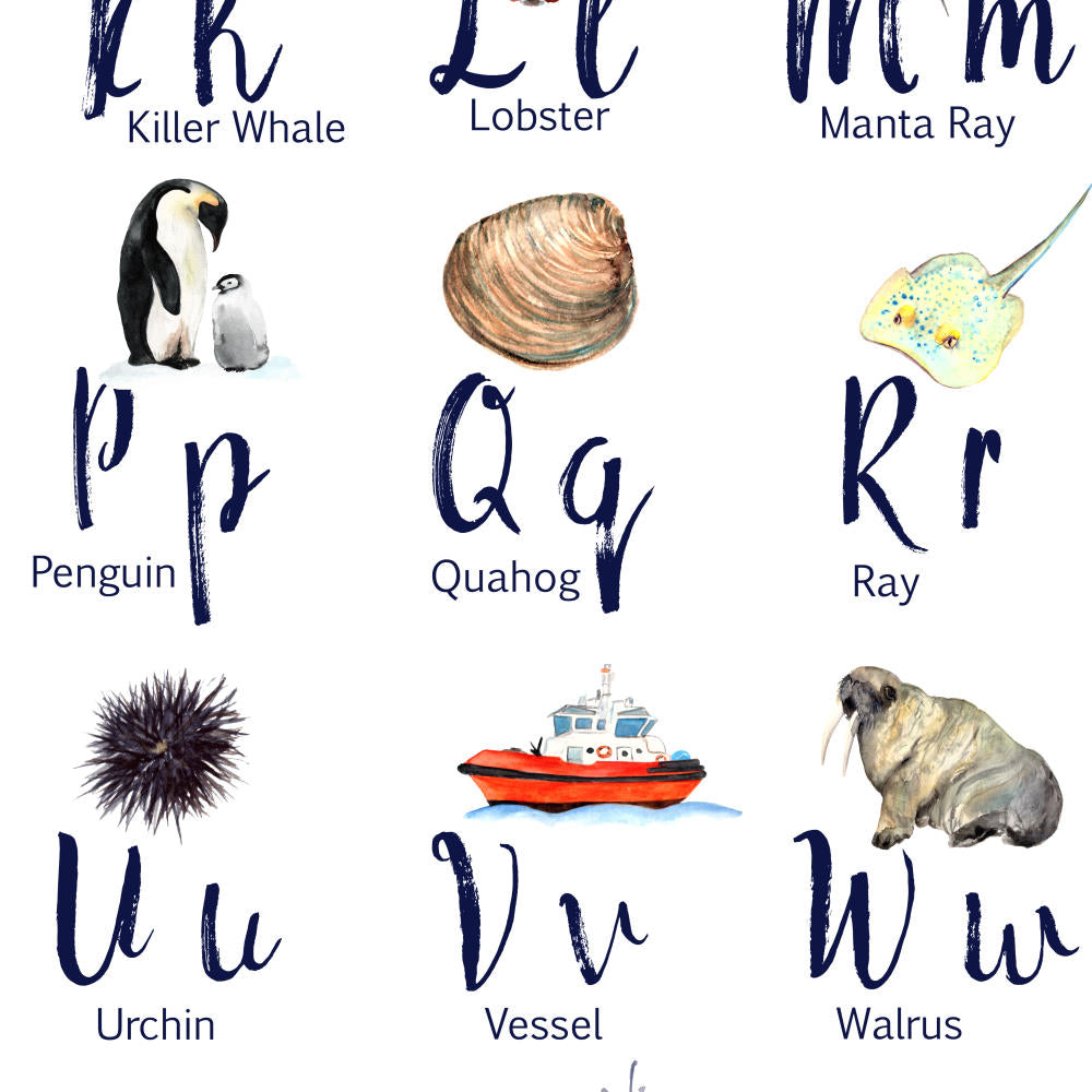 ocean alphabet