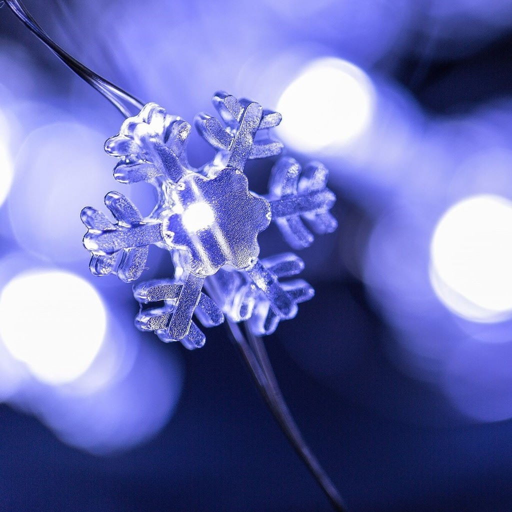 snowflakes seed light string - Snug as a Bug